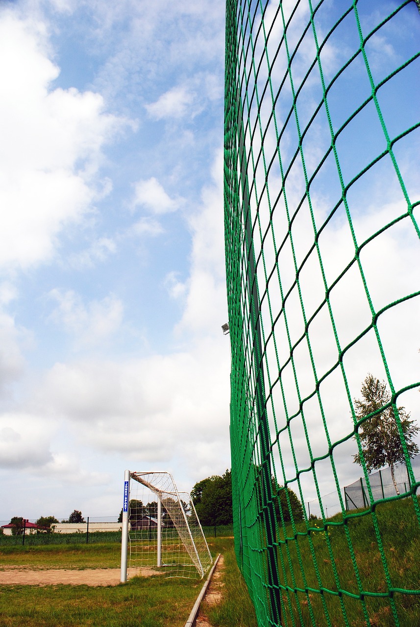 主优化词-湖北队力挫强敌赢得信心